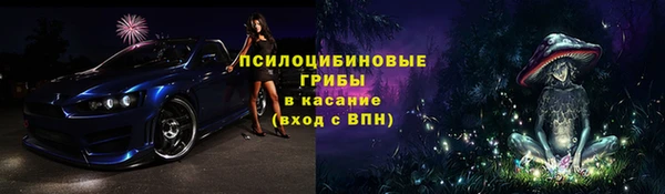 таблы Белокуриха