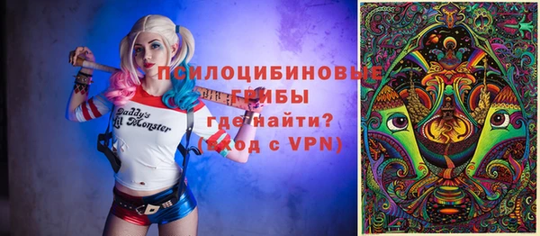 таблы Белокуриха