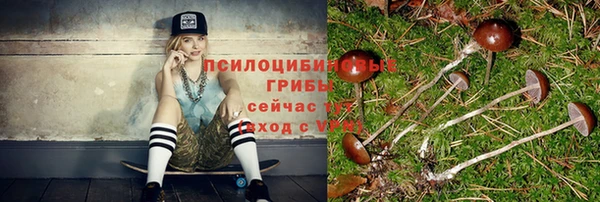 таблы Белокуриха