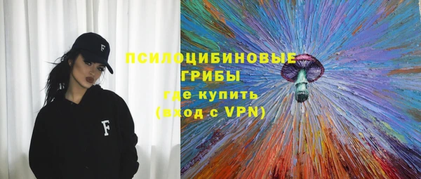 таблы Белокуриха