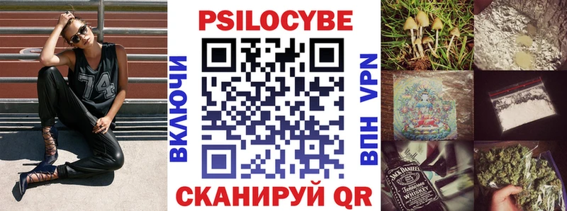 купить   Валуйки  Псилоцибиновые грибы Psilocybe 