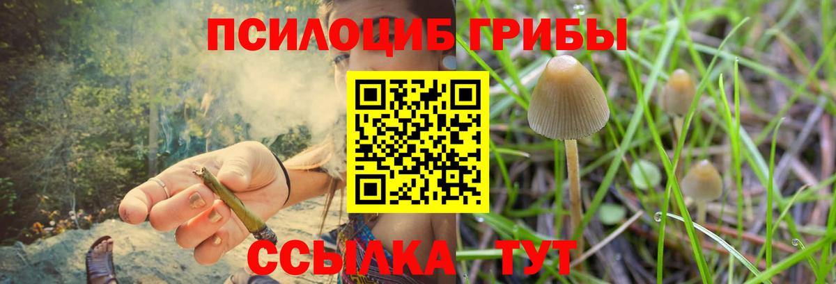 Псилоцибиновые грибы GOLDEN TEACHER  Вход с VPN  Валуйки  Галлюциногенные грибы мухоморы 